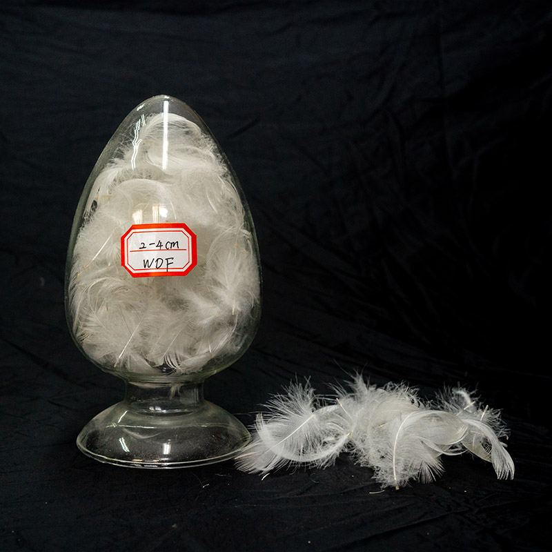 15% white goose down flake | 6cm white goose feather | 4-6cm white goose feather