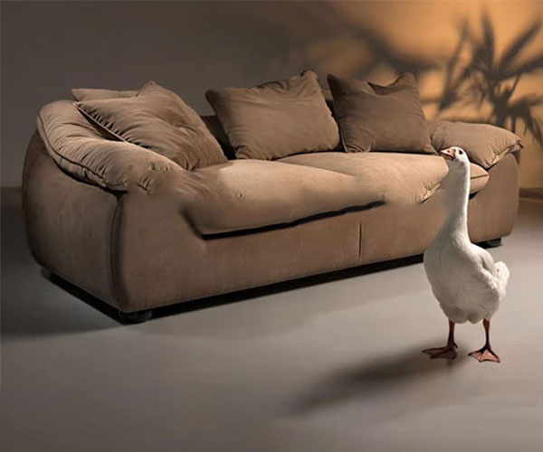 Goose Feather Couch