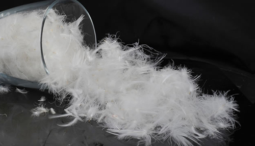 China duck feather products wholesale manufacturer and supplier